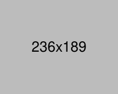 Trucker - Transport Courier & Logistics Html Template
            